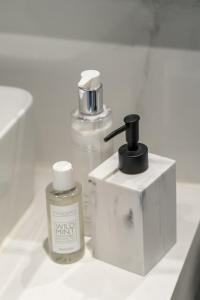 Modern South Wimbledon Apartment