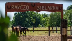 Ranczo Drażniew & Ranczo Sielanka