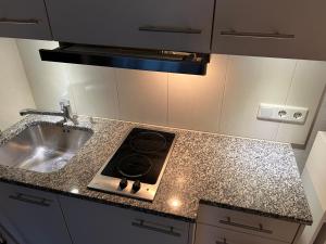 Mellau Appartments 220