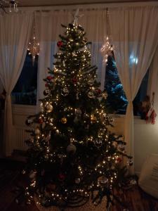 Cabana Vikingilor Bucovina