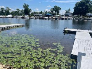 Charming Home on Esopus Creek