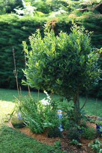 A lEcole Buissonnière, chambre dhôtes en Sidobre