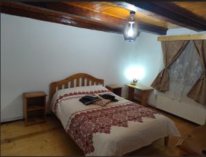 Torok Adrian Mihail PFA