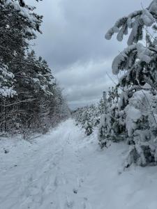 Apartament Loft- IzerSKI Resort