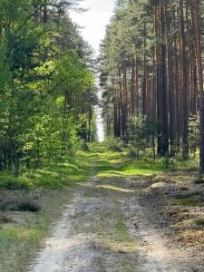 Apartament Loft- IzerSKI Resort