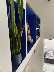 Appart vue mer panoramique magique