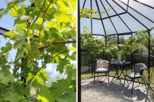 LL257-Humble-Anemonevaenget-4