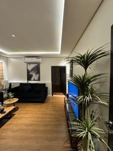 غرفة وصالة بقرطبة