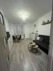 Apartament Górnik