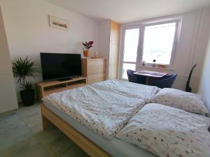 Apartmán Radhošť - 3hvězdičkové hotely ve městě Rožnov pod Radhoštěm