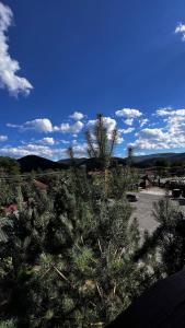 Sadyba Pidkova Чан сауна Приймаємо групи до 70людей