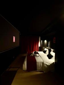 Appartement Thonon-les-Bains Cinéma privé & Écran géant proche Lac Léman