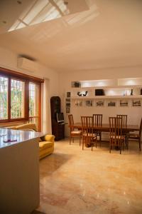 Ficus Corner - Vatican