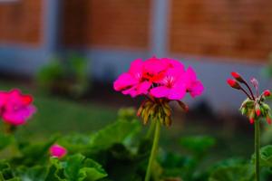 Hillside Home-Fully furnished home near Ngorongoro