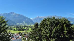 Penthouse Forsterhaus - glacier view, byin One Apartments