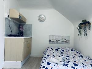 Séjours au centre de Strasbourg