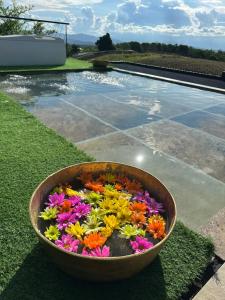 Belvedere Suite Campestre