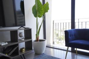 Departamento Colonia Americana 13