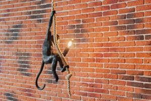 Monkeys Den Ultra-central