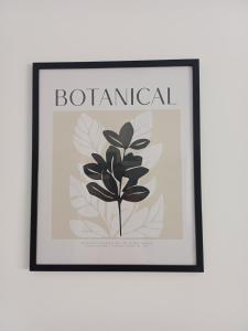 Studio - Magnan NICE