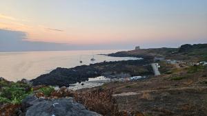 Jasmine House Ustica heart