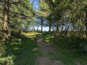 6 person holiday home in Ulfborg