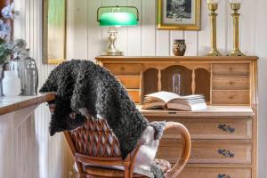 C11054-Hemmet-Husfold-2