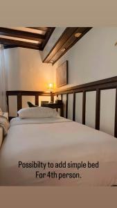 Authentic Spacious 1BDR In Downtown Montreal