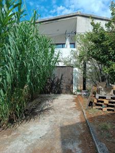 Family friendly seaside apartments Brgulje, Molat - 24673