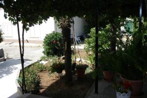 Apartments with parking space Punat, Krk - 24849