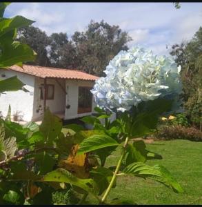 Cabaña campestre