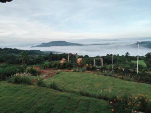 บ้าน มองดูหมอก