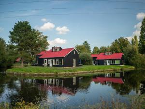 Wooded Park Retreat in Drenthe