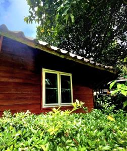 Jungle View Resort