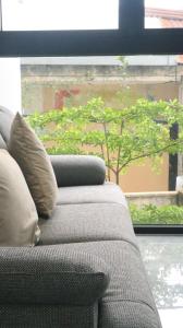 Dreams Homestay with Full Kitchen & Big Lounge