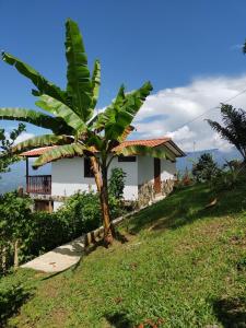 Country cabin with panoramic view among clouds - cabaña refugio entre nubes