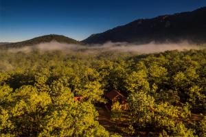 Cabaña Encino para 10 personas en medio del bosque mascotense