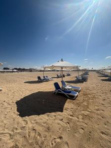 شاليه مميز - دايركشن وايت