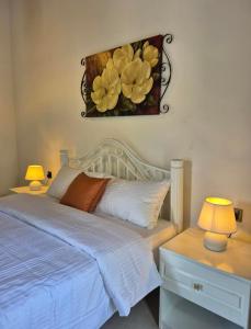 Luxury Villa in Nawala Colombo