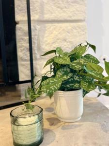 Peaceful, Comfy Home | Office + Prime Location