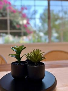 Peaceful, Los Angeles Family Vacation, Relocation Home