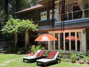 Banyan House Samui bed and breakfast (Adult Only)