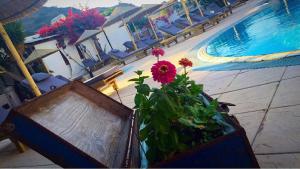 Sydney Hotel Kos Greece