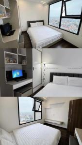 Tom Homestay Hải Phòng