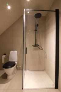 Spacious apartment in the country side