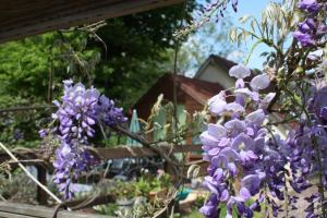 Maisons de vacances River Cottage : photos des chambres