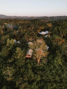 Autentik Penida "Glamping" - Adults only