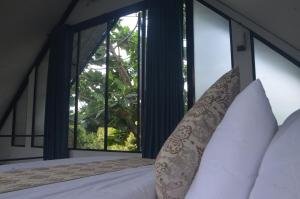 Willow Nest Apartments