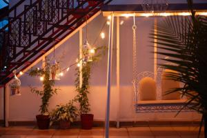 Inayat-Pet friendly boutique homestay