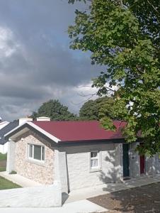 Tiernans studio apartment